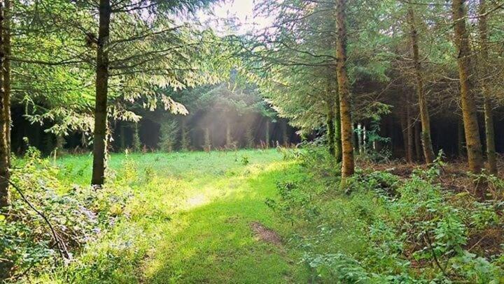 Lobhill Farmhouse Bed And Breakfast And Self Catering Accommodation Okehampton Zimmer foto