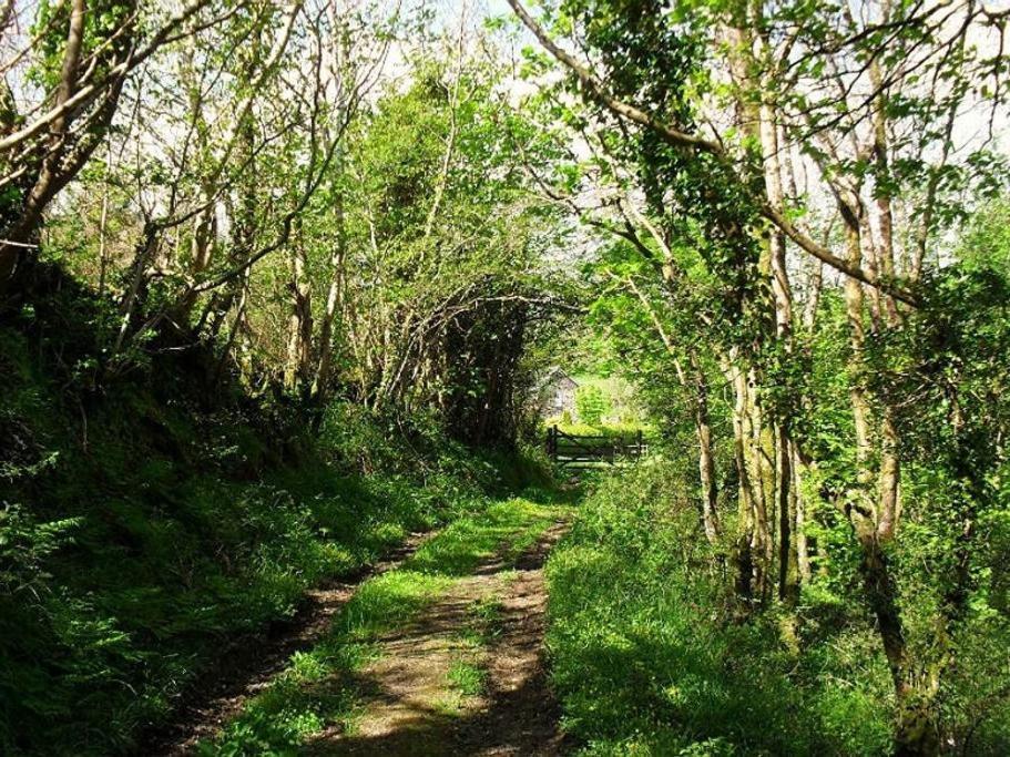 Lobhill Farmhouse Bed And Breakfast And Self Catering Accommodation Okehampton Zimmer foto
